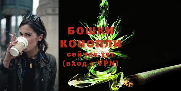 стафф Вязьма