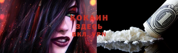 первитин Вяземский
