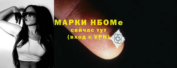 стафф Вязьма