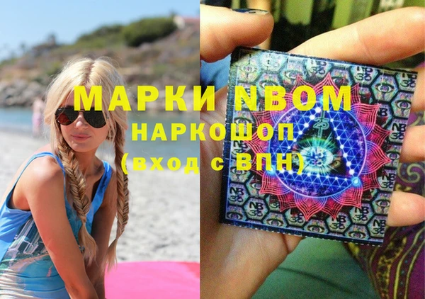 стафф Вязьма