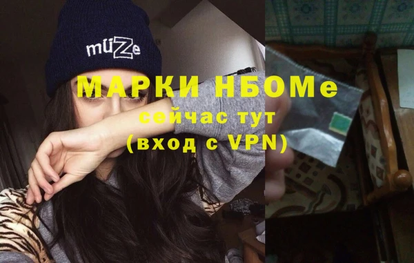 стафф Вязьма