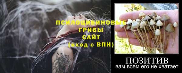 спиды Кадников